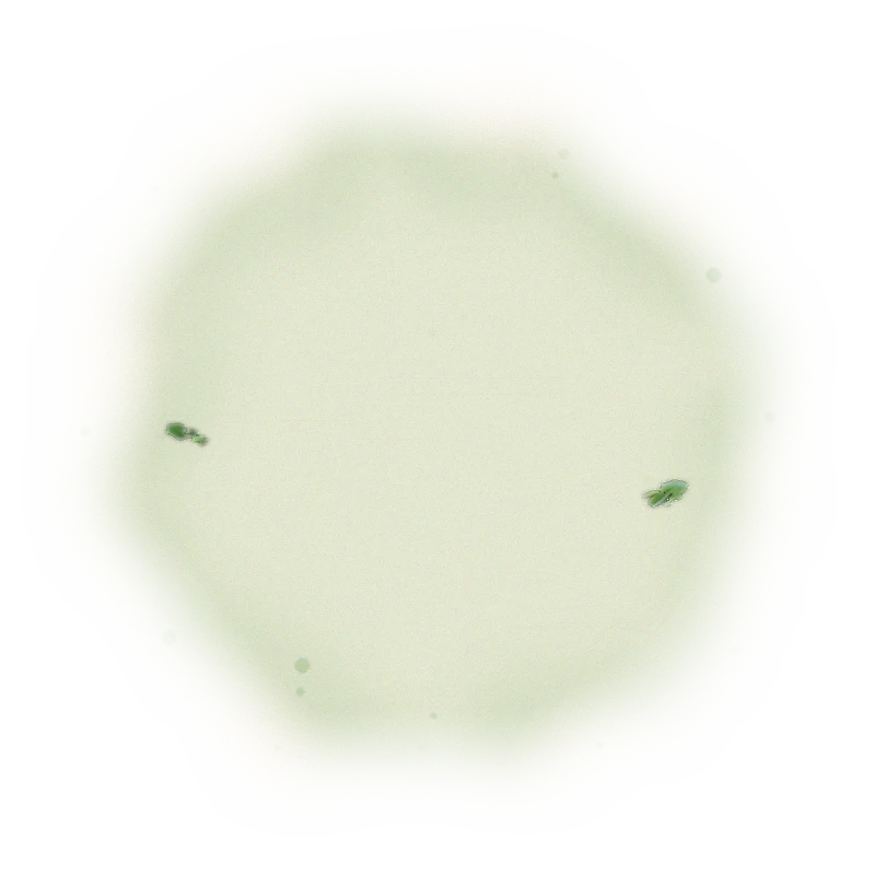 Wholesale - S003 - Sun Moon Lake - Assam Black Tea TTES#8 (Competition Grade) 9
