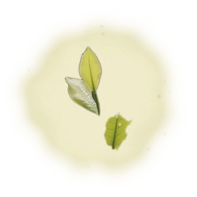 Wholesale - S004 - Sun Moon Lake - Assam Black Tea TTES#8 (Premium Grade) 8