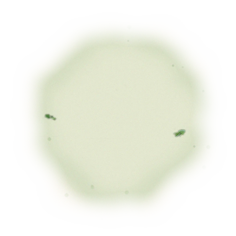 Wholesale - S004 - Sun Moon Lake - Assam Black Tea TTES#8 (Premium Grade) 9