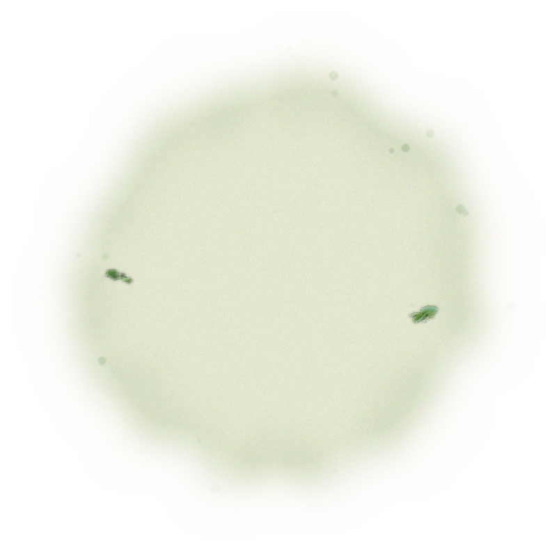 Wholesale - S005 - Sun Moon Lake - Formosa Black Tea (Competition Grade) 9