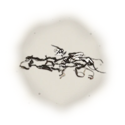Wholesale - S006 - Sun Moon Lake - Formosa Black Tea (Premium Grade)