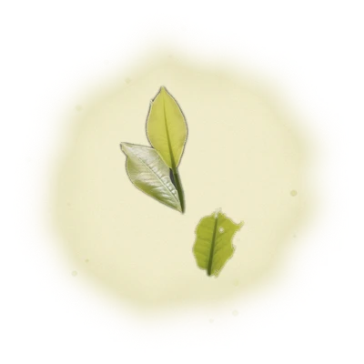 Wholesale - S006 - Sun Moon Lake - Formosa Black Tea (Premium Grade) 8