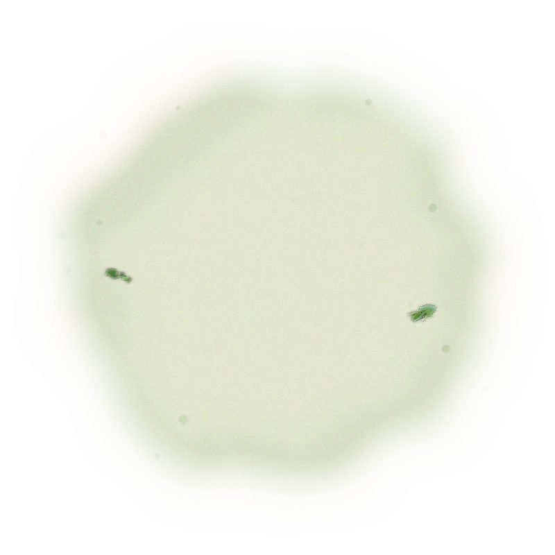 Wholesale - S006 - Sun Moon Lake - Formosa Black Tea (Premium Grade) 9