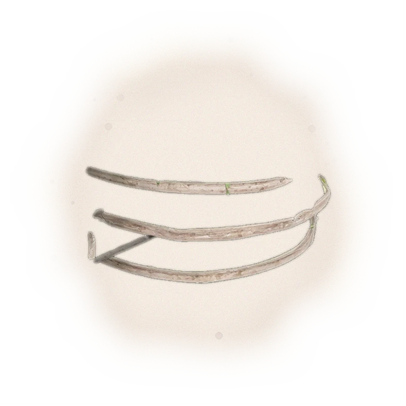 Wholesale - X002 - SanXia - Biluochun Green Tea (Premium Grade) 9