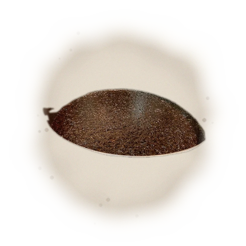啡金紅茶 Golden expresso 9