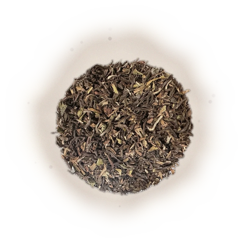 尼泊爾麝香紅茶 Nepal Musk 9