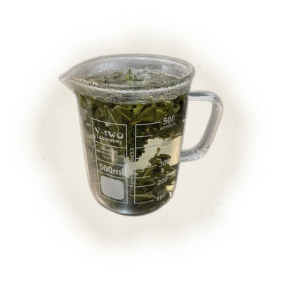 文山包種茶 Wen Shan Pouchong 4