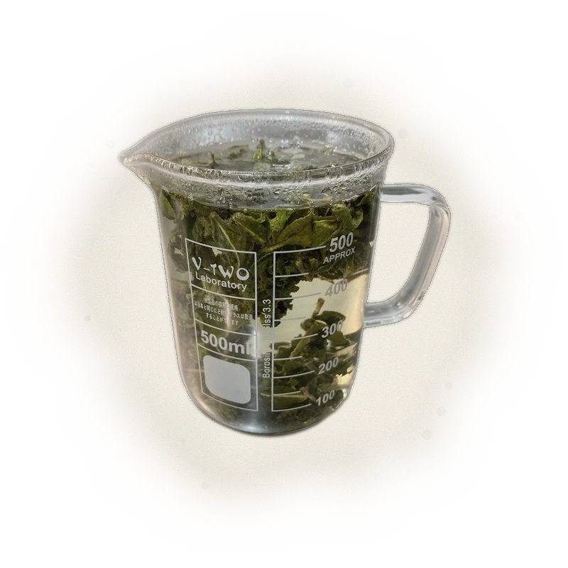文山包種茶 Wen Shan Pouchong 3