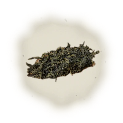 文山包種茶 Wen Shan Pouchong 10