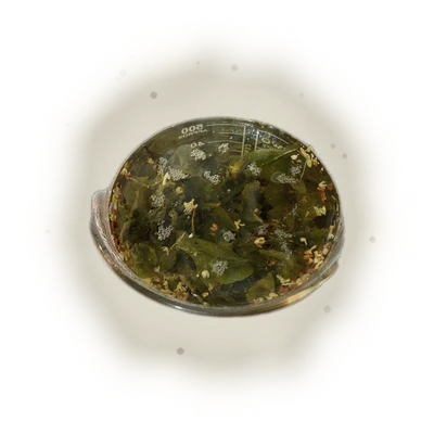 浮生桂花烏龍OsmanthusOolong 10