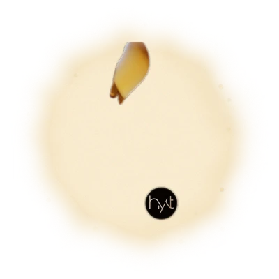 肯亞紅茶 Kenya 6