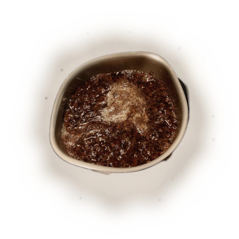 野貓伯爵茶 CAT Earl Grey 5