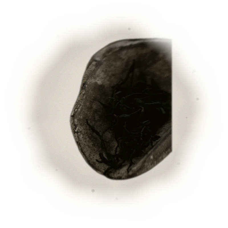 凍頂烏龍/100G 5