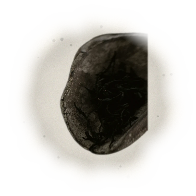 東方美人/50G 7