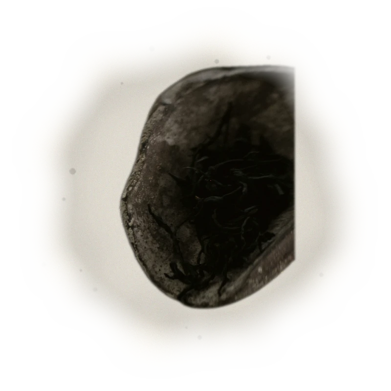 陳年鐵觀音/100G 7