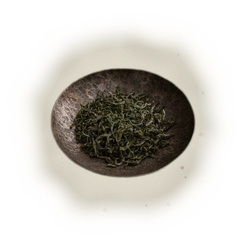 2025 Spring Biluochun Green Tea 3