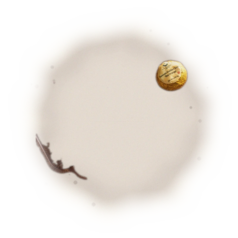Golden Snail Red Tea 9