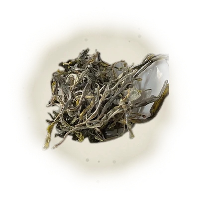 Qianjiazhai Ancient Tree Sheng Pu'er (2023) TEA MASTER SERIES 4