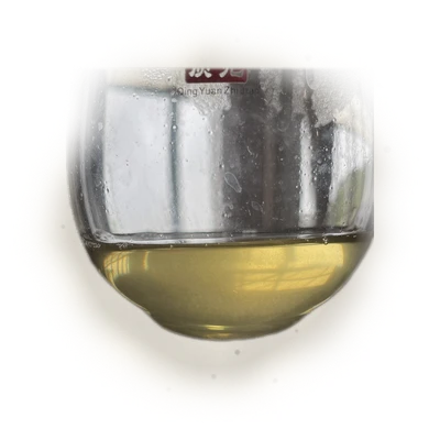 Qianjiazhai Ancient Tree Sheng Pu'er (2023) TEA MASTER SERIES 8