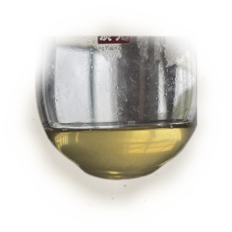 Qianjiazhai Ancient Tree Sheng Pu'er (2023) TEA MASTER SERIES 7