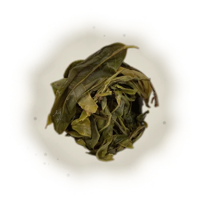 Qianjiazhai Ancient Tree Sheng Pu'er (2023) TEA MASTER SERIES 10
