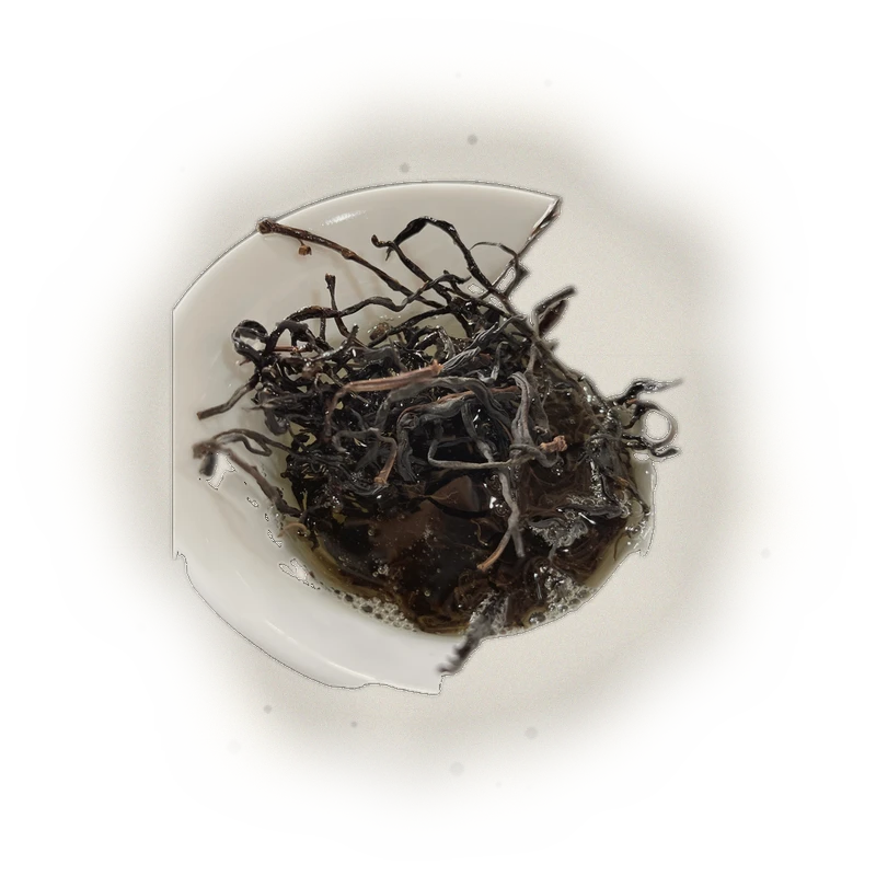 Thousand-Year Tree Wild Red Tea (2022) TEA MASTER SERIES 3