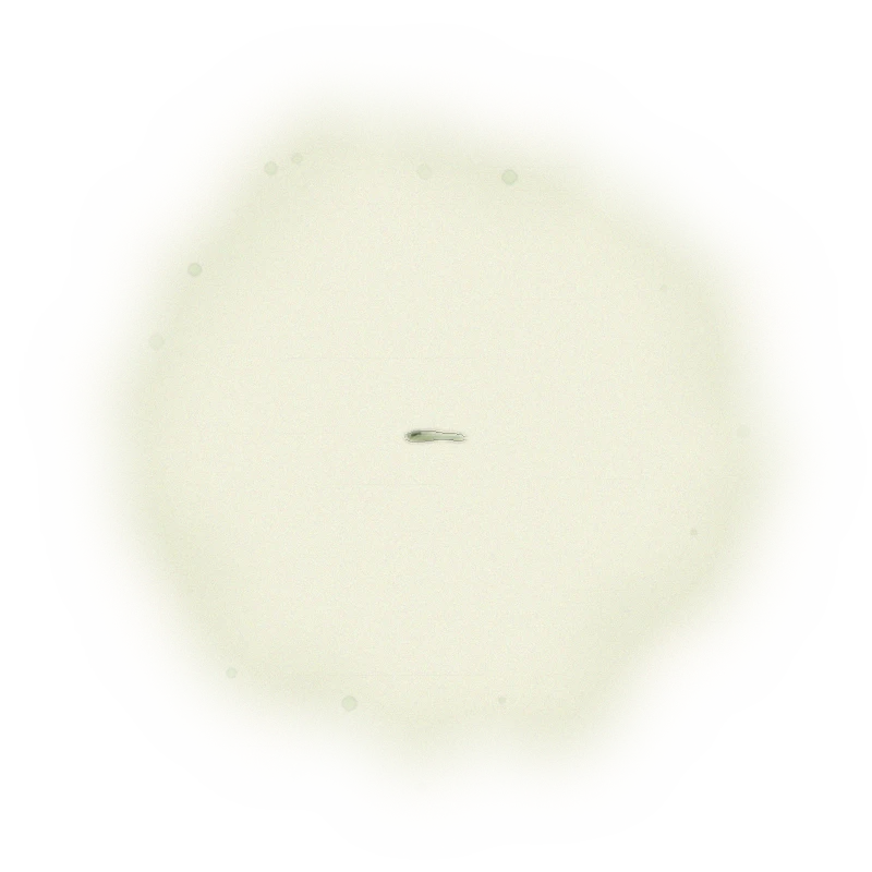 台茶12號蜜紅茶-150克(2025年夏茶) 3