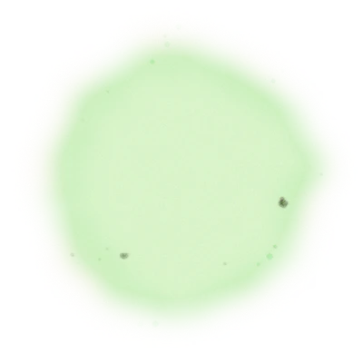 『慢種』膨風茶-150克(2025年茶) 6