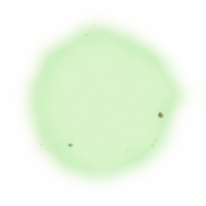 『慢種』膨風茶-150克(2025年茶) 5