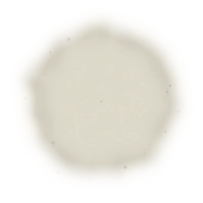 『慢種』膨風茶-150克(2025年茶) 10