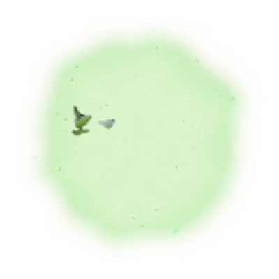 特級青心烏龍冬茶-150克(2025年冬茶) 4