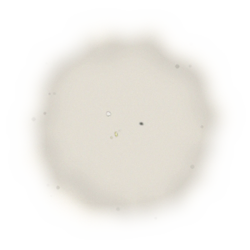 特級青心烏龍冬茶-150克(2025年冬茶) 5