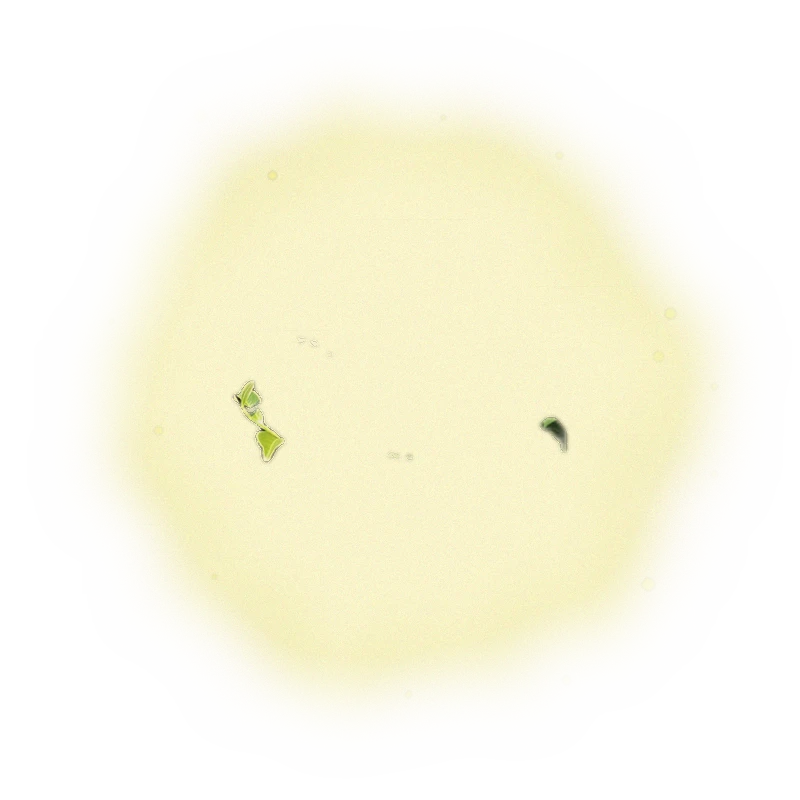 青心烏龍包種茶 – 150克(2025年春茶) 3