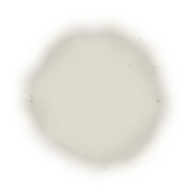 青心烏龍包種茶 – 150克(2025年春茶) 6