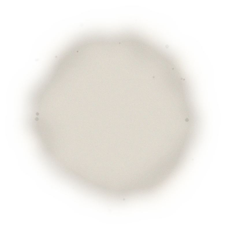 青心烏龍包種茶 – 150克(2025年春茶) 5