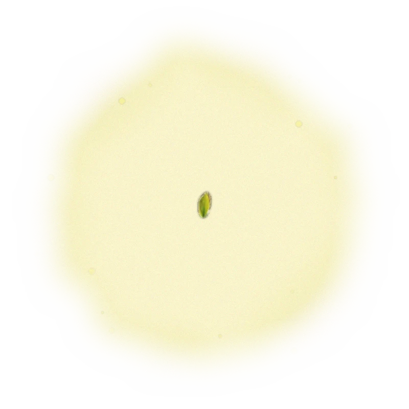 青心烏龍蜜香紅茶-150克(2025年夏茶) 3