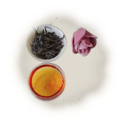 紫芽山茶 4