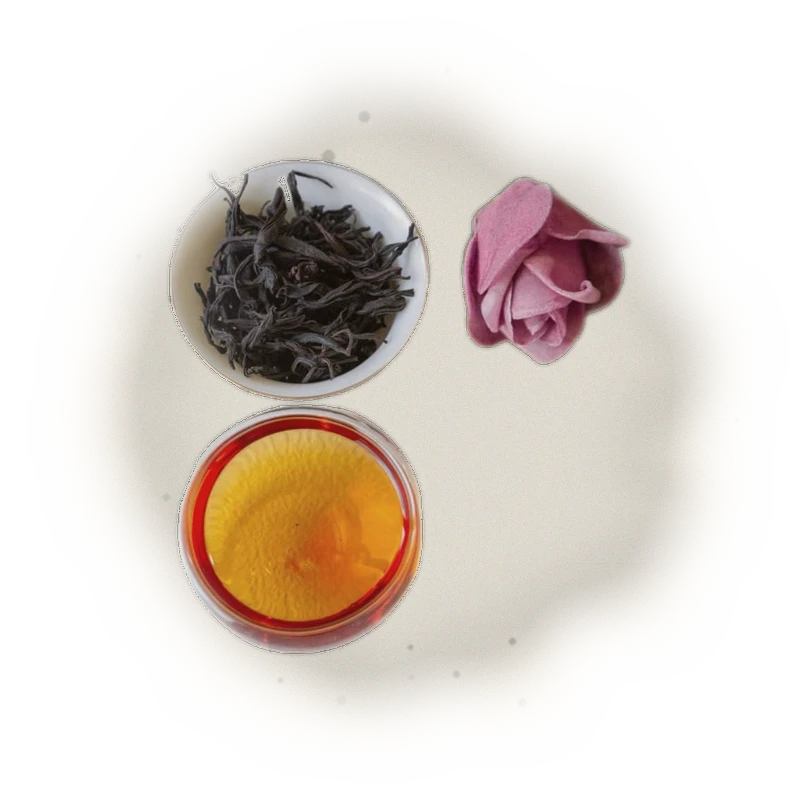 紫芽山茶 3