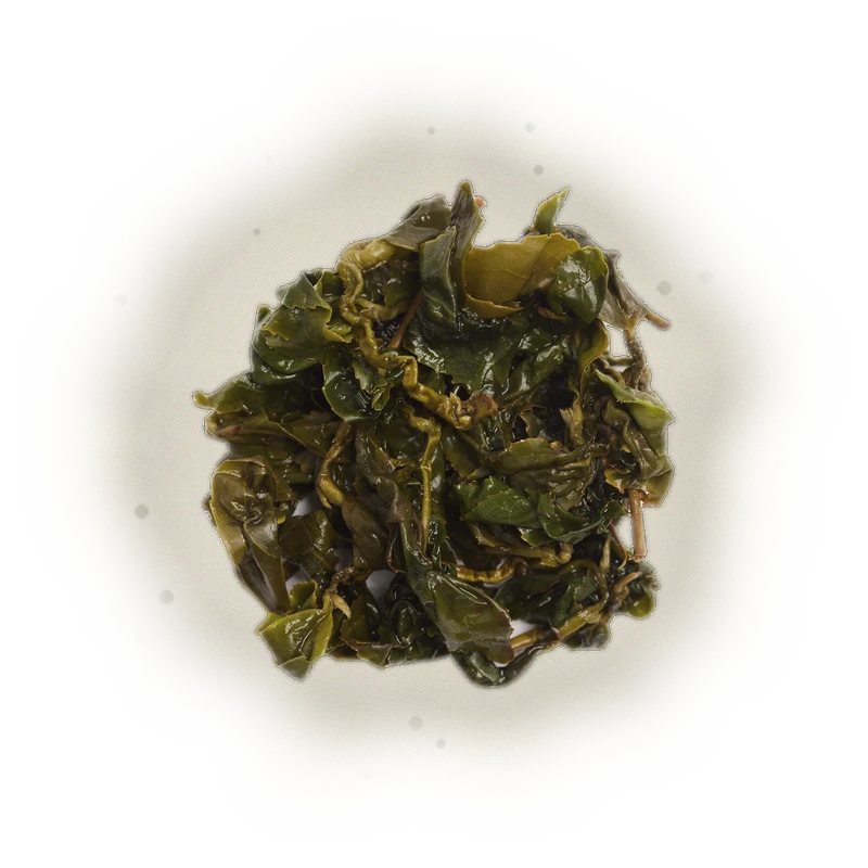 Alishan Jin Xuan (High Mountain Oolong Tea) 9