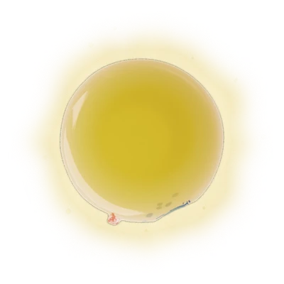 Alishan Qing Xin (High Mountain Oolong Tea) 4