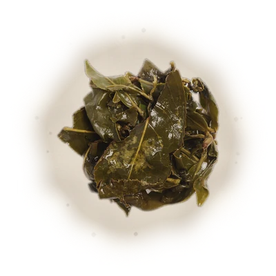 Alishan Qing Xin (High Mountain Oolong Tea) 10