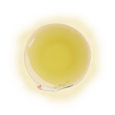 Four Seasons (Oolong Tea) 4