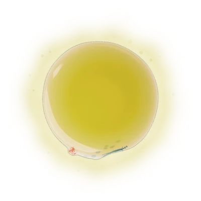 Li Shan (High Mountain Oolong Tea) 4