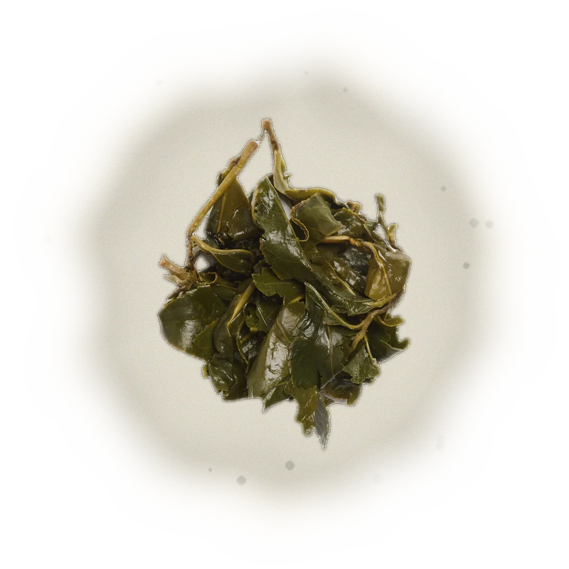 Li Shan (High Mountain Oolong Tea) 9