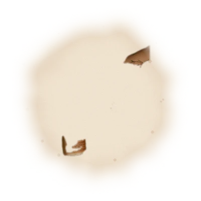 清雅藏香罐－春雪烏龍茶（散茶）110g 8
