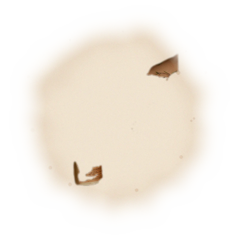 清雅藏香罐－春雪烏龍茶（散茶）110g 7