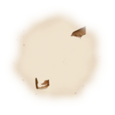 清雅藏香罐－阿里山高山茶（散茶）110g 6