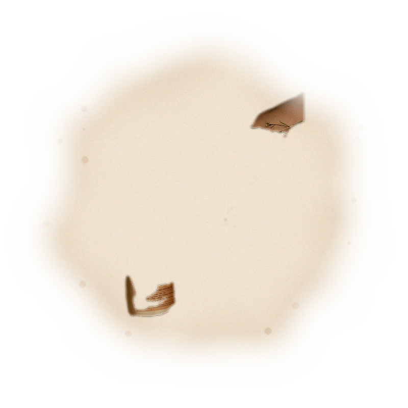 清雅藏香罐－阿里山高山茶（散茶）110g 5